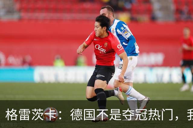 格雷茨卡：德国不是夺冠热门，我们希望赢回德国球迷信任