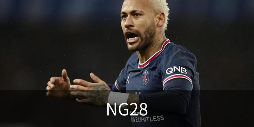 NG28介绍